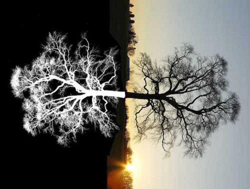 Мы рождены в тот час, когда...