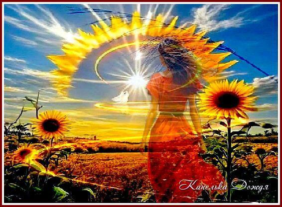 Иду по августу