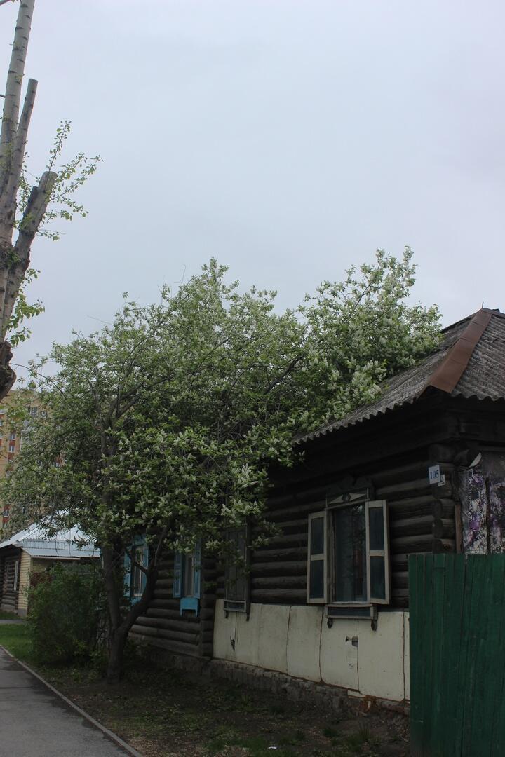 Весна - истома.