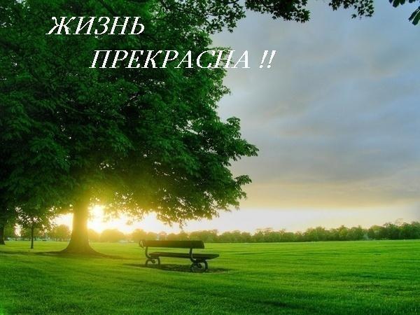 Жизнь твори от 7. 08. 2015