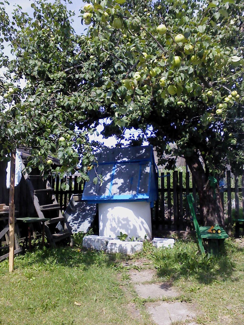 Жду… Скоро…