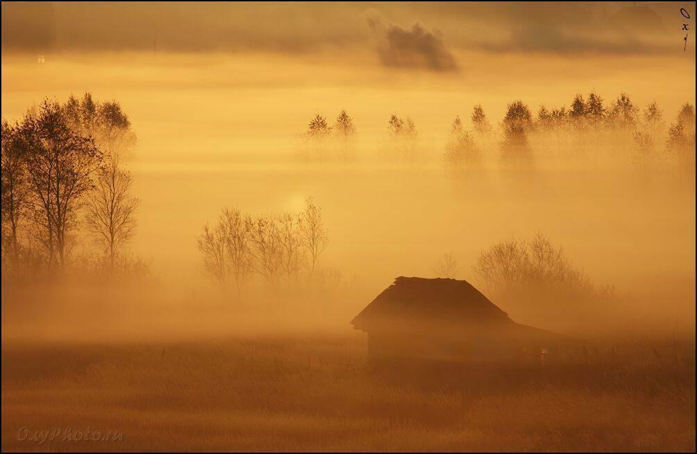 Воскрес