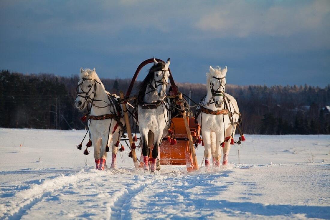 НОВОГОДНЕЕ СКАЗОЧНОЕ