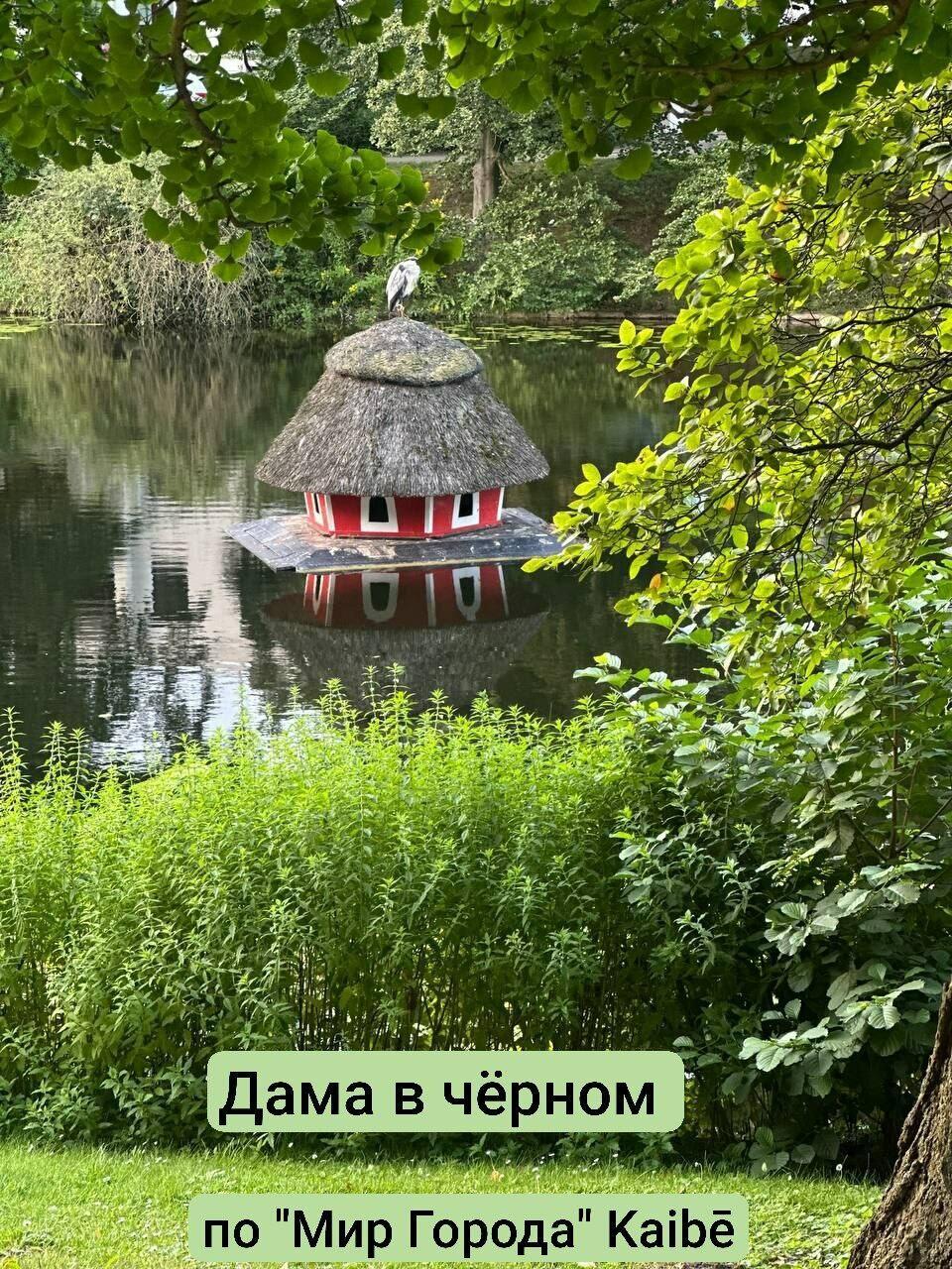 Дама в чёрном (Мир города)