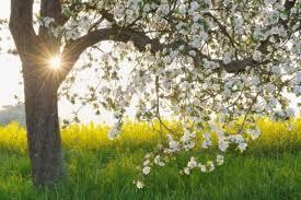 Песенка так…