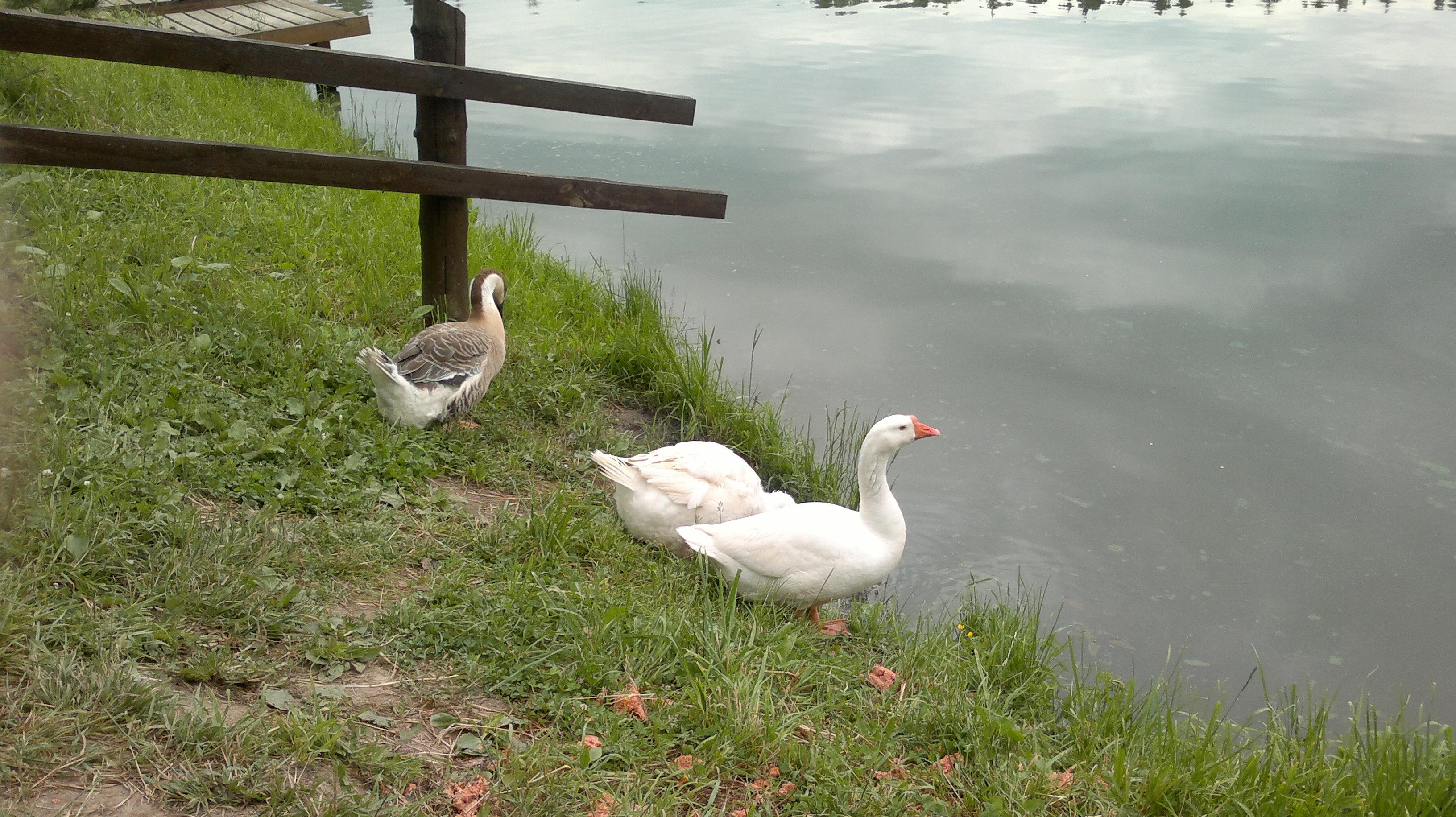 Фоточки от 26. 05. 2011