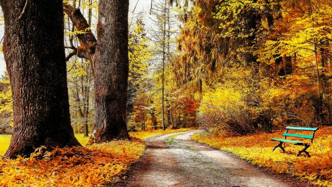 Осенняя печаль - авторское