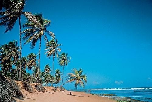 Всё Для Вас....