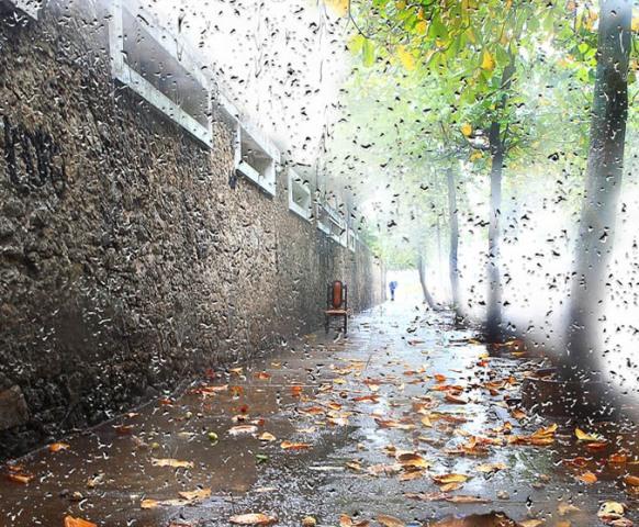 "Спой мне песню о завтрашнем дне..." (06.09.2013)