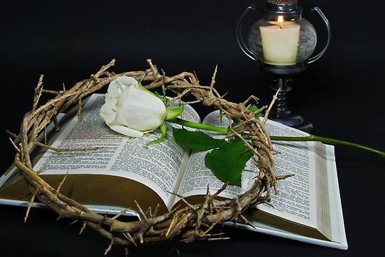 Сердце настежь