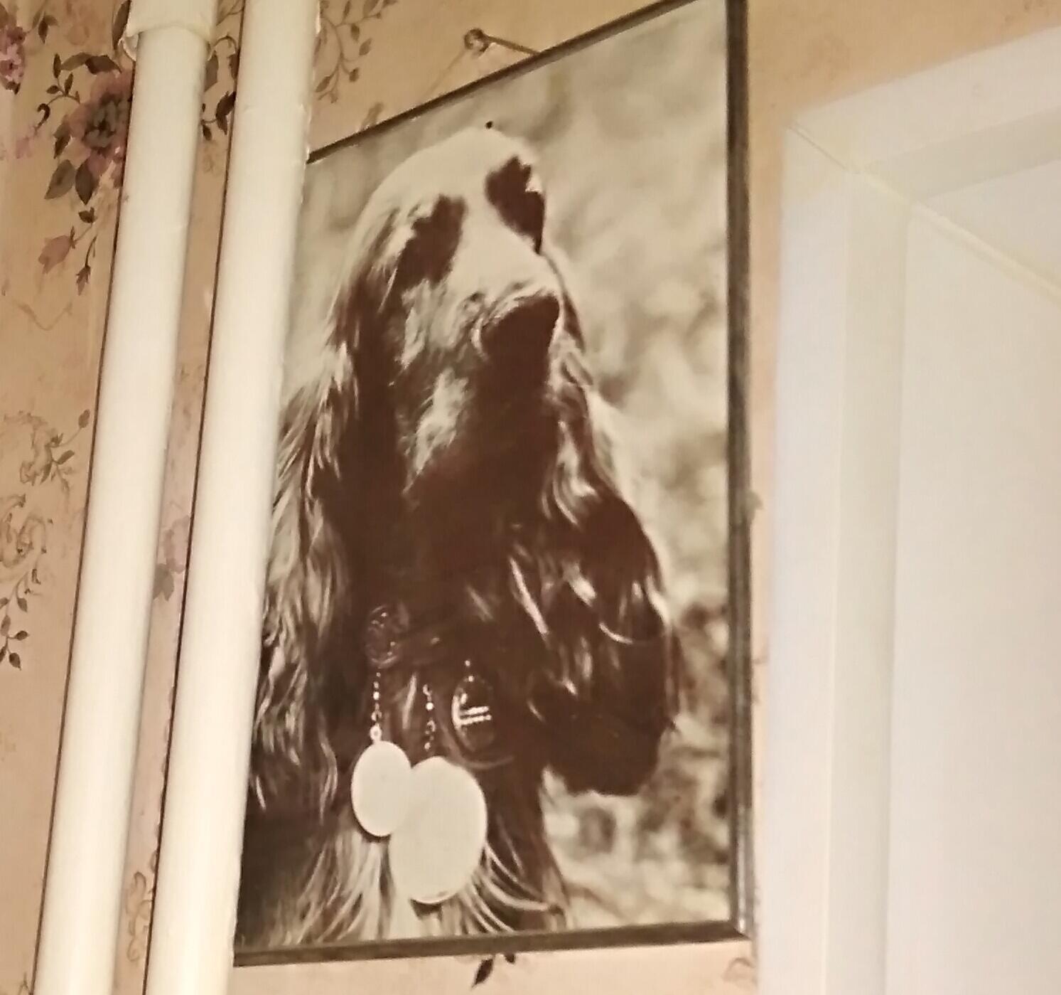 ЕДИНственная хмурь... 