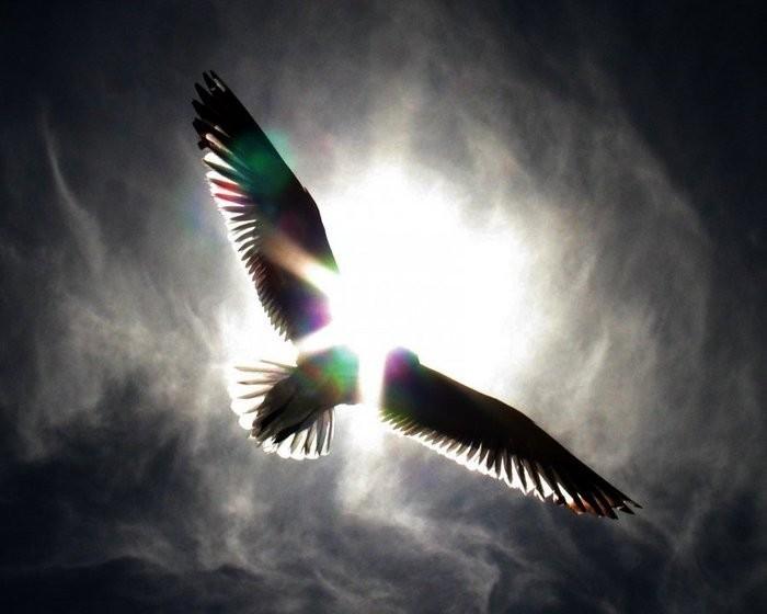 Мы думали навечно