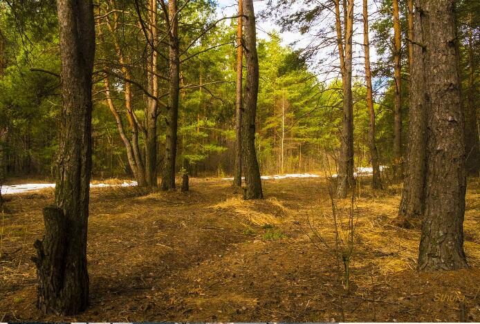 Просто дышать...