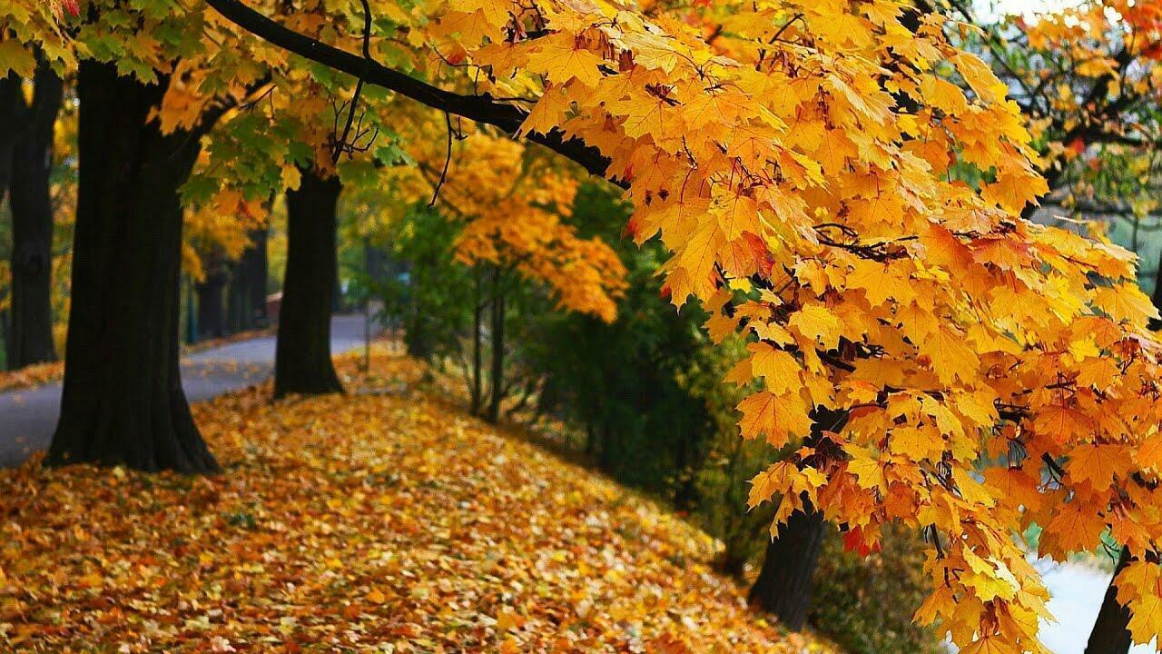 И ВДЫХАЕШЬ ПОЛНОЙ ГРУДЬЮ...