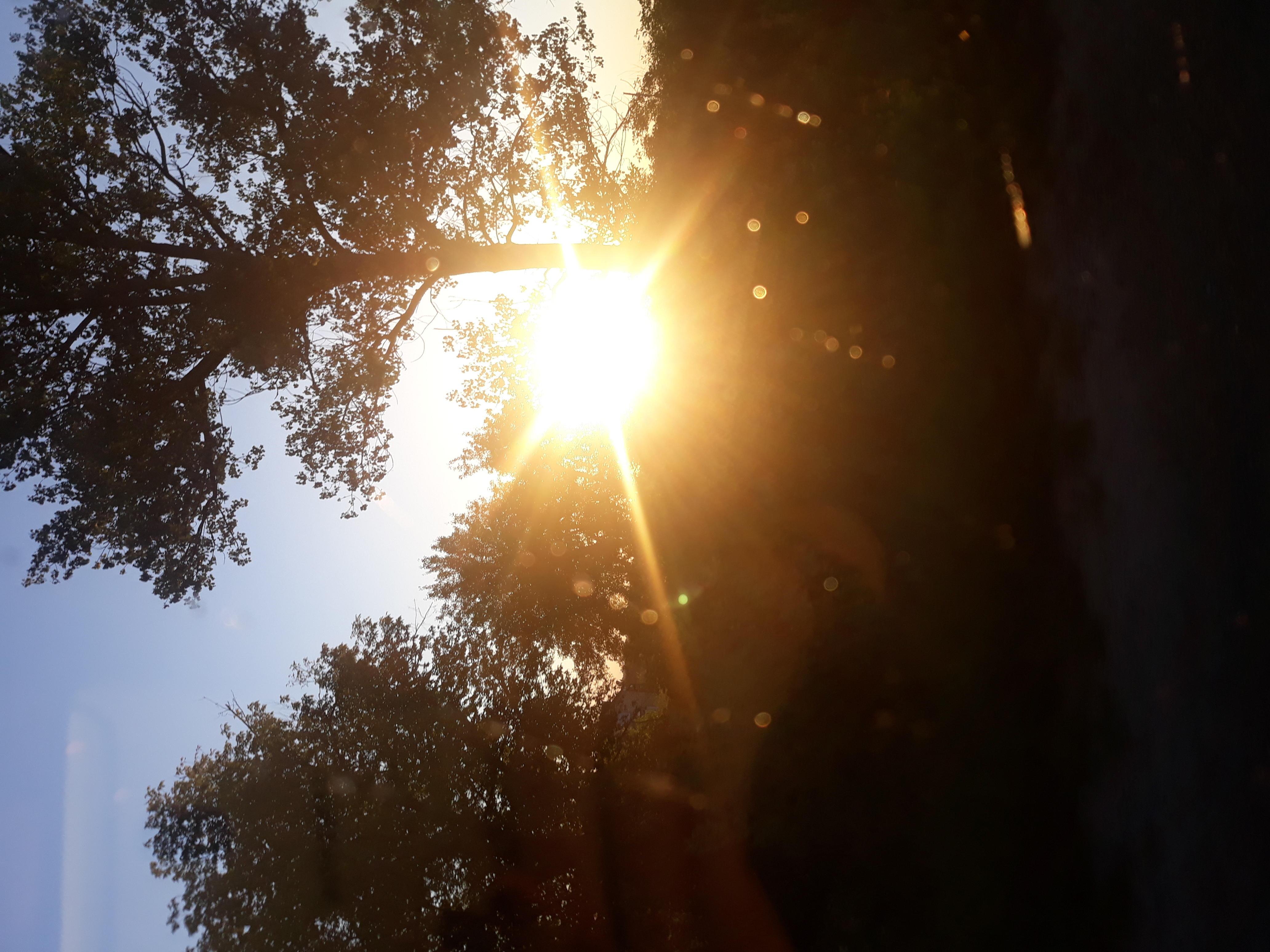 Танцуй под звездами весенней ночью