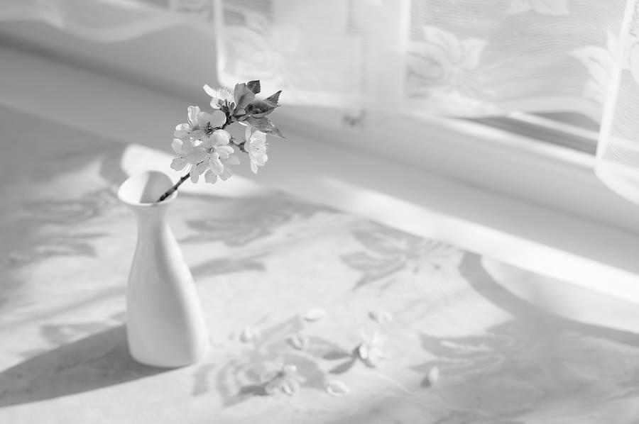 Зарисовки. Любит - не любит