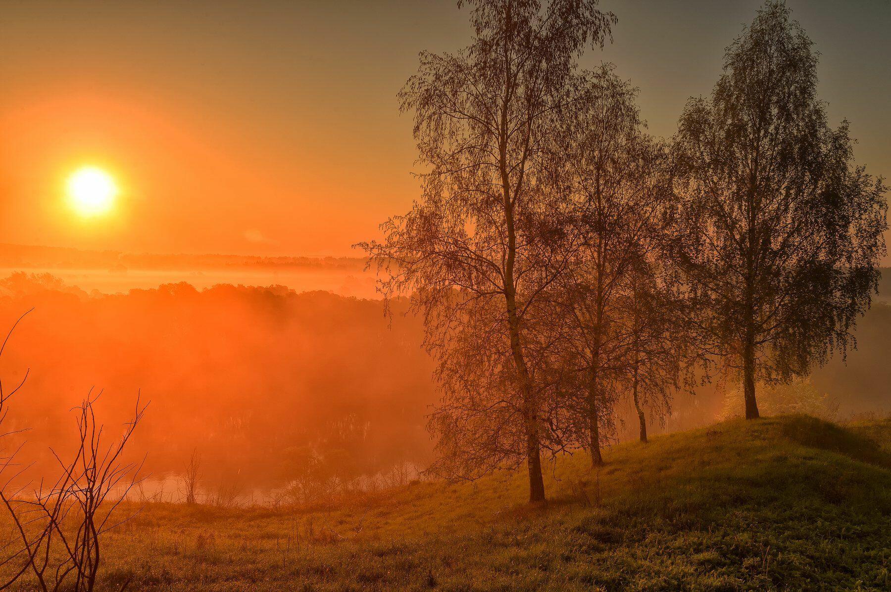 Летнее утро