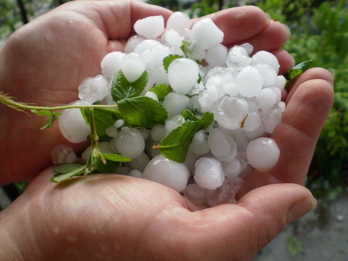 СЮРПРИЗЫ ПОГОДЫ