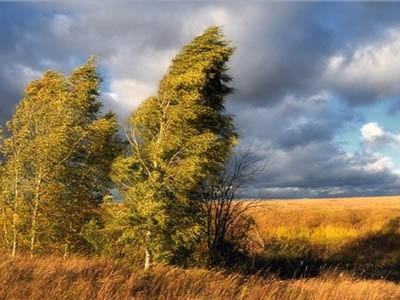 ОСЕННИЙ ГРОМ, ГРОЗА БЛИСТАЕТ