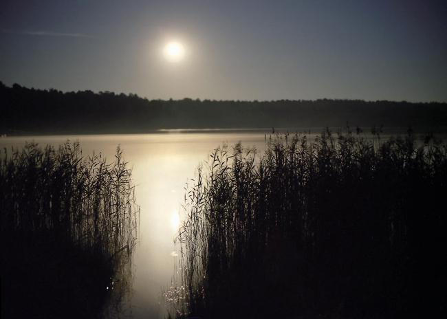 ВОЛГА И ОБЬ