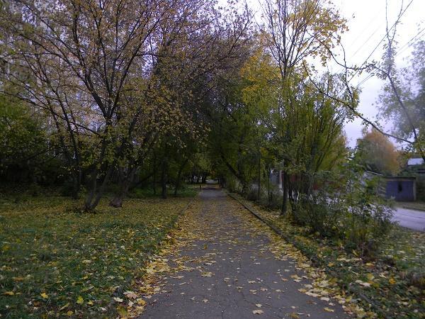 ДНИ НАС РАЗБРОСАЮТ...