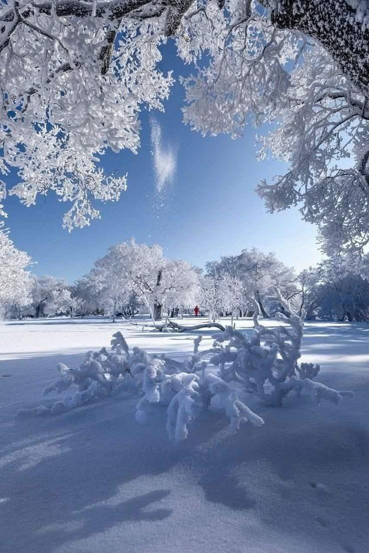 Сон в зимний день