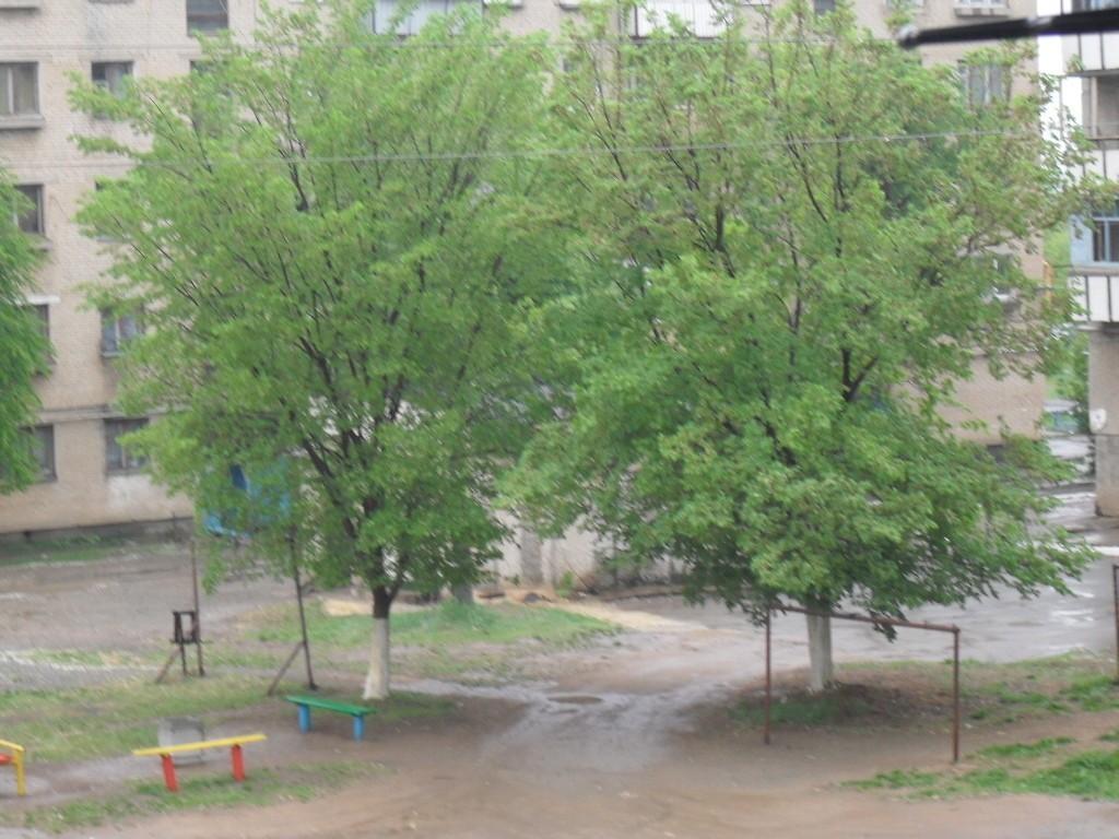 Прекрасней нет лекарства