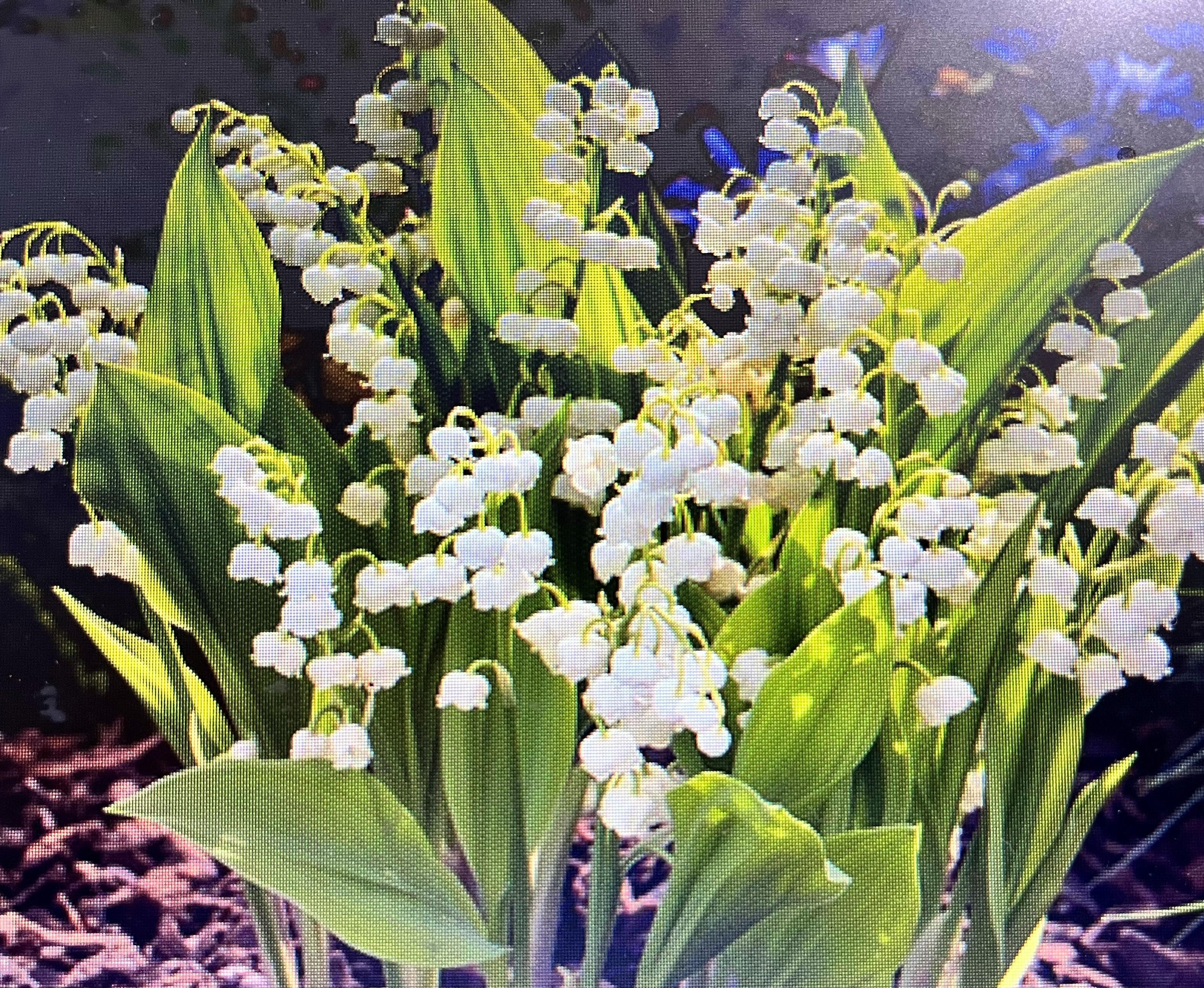 ПРишла весна