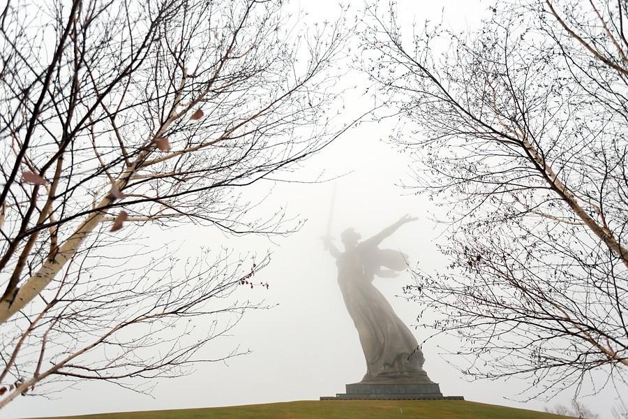 ПОЧEМУ БЕРЁЗЫ В КРАПИНКУ?