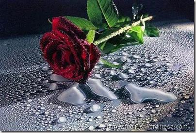 ОНА СМОТРЕЛА ВДАЛЬ