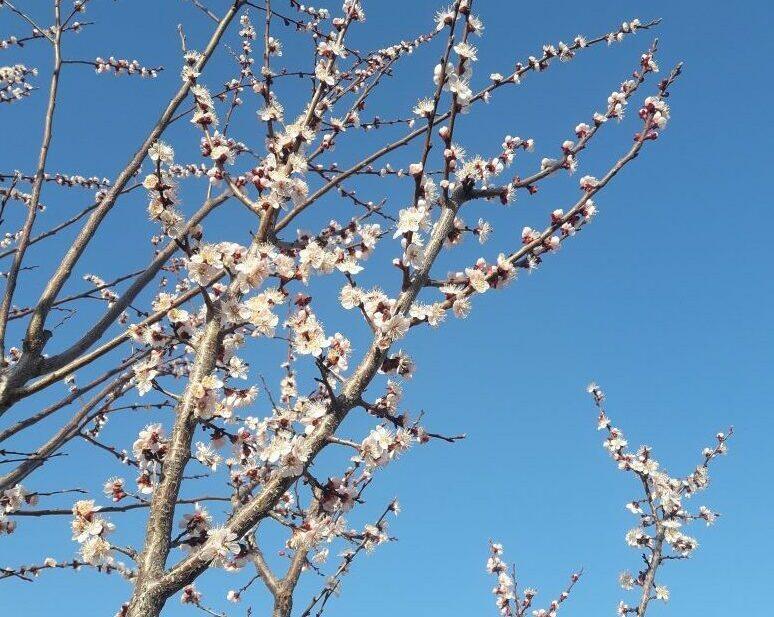 САМОЕ ТРУДНОЕ