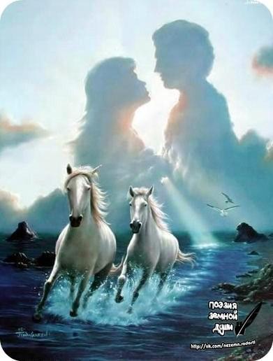 Я люблю тебя моя любимая