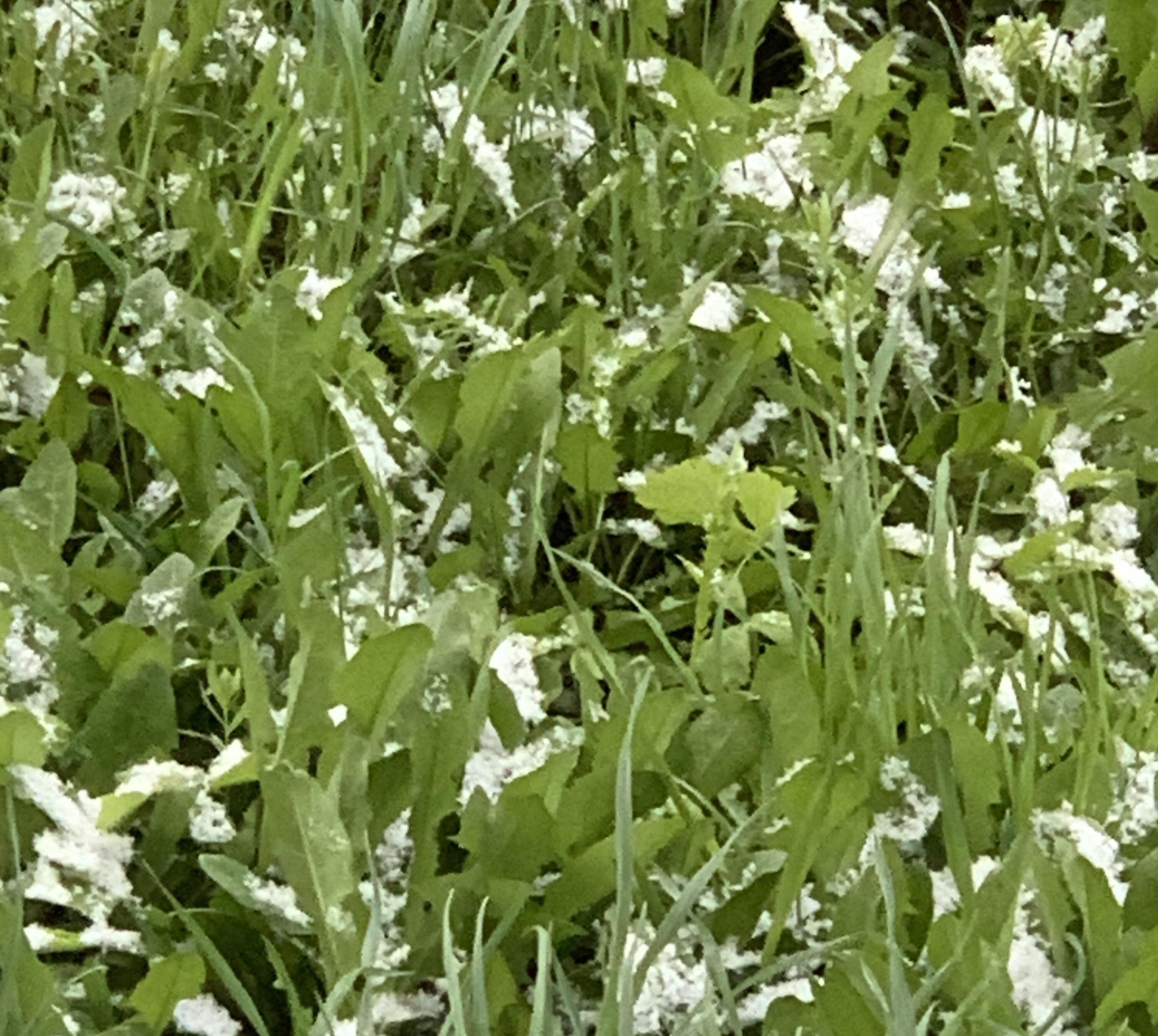 О природе и погоде…