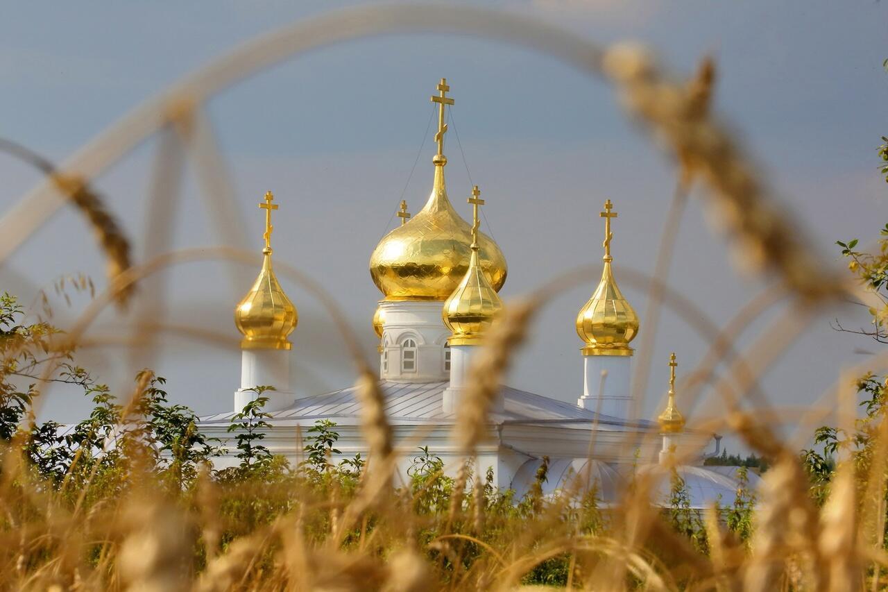 "Сердце так ноет в груди..." (10,11.08.2022)