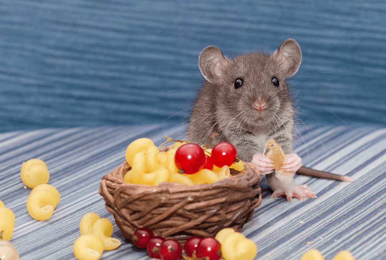 Хокку(Мудрость)(976-1000) (лето-зима)