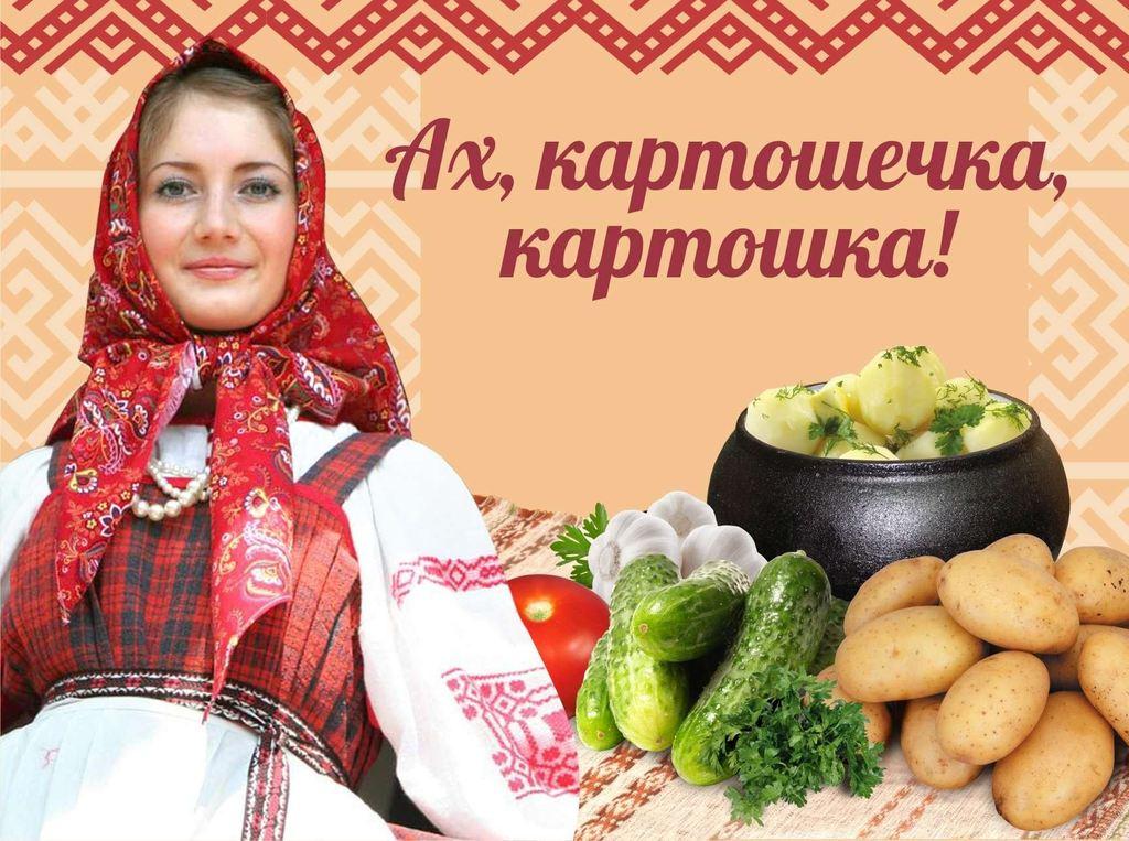 ХОРОША МОЯ КАРТОШКА.