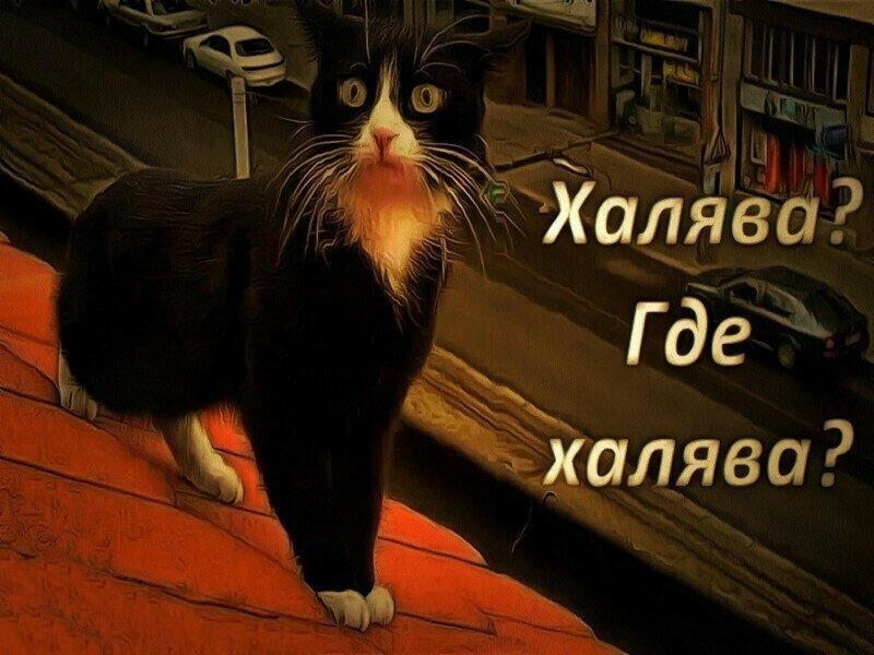 Рано зубы класть на полку