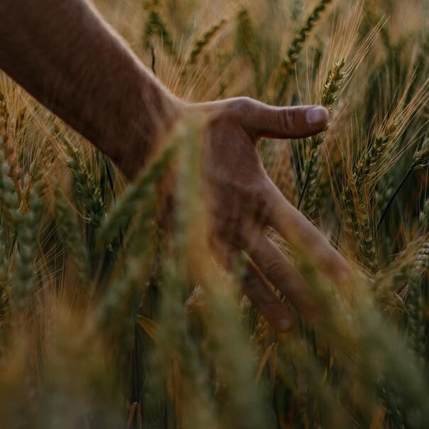 Раскрестьяненная Русь