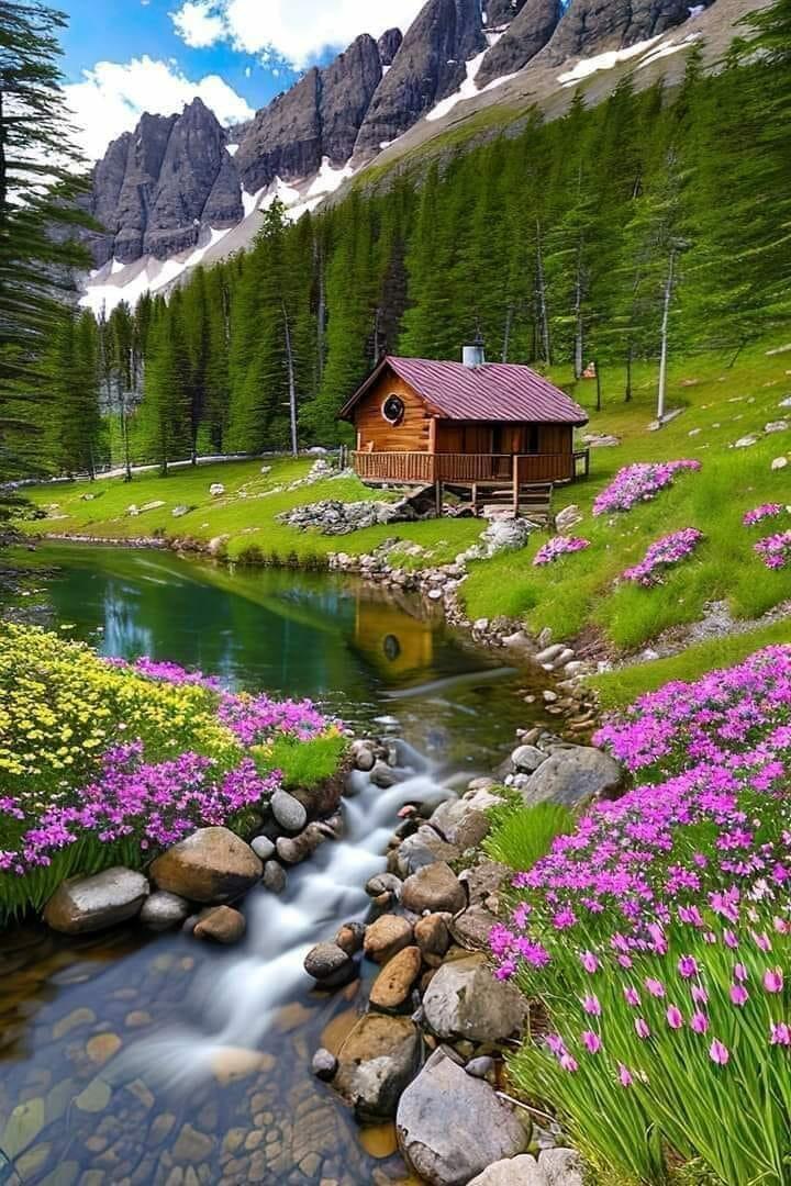 Мысли о главном