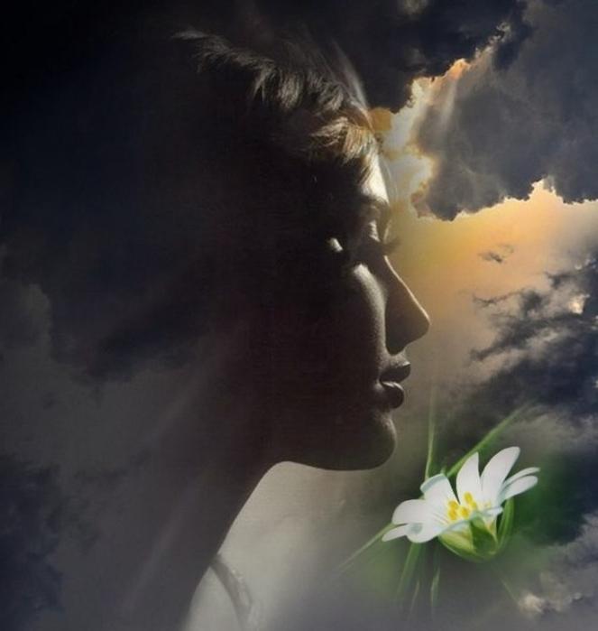 НАУЧИ МЕНЯ ЛЕТАТЬ