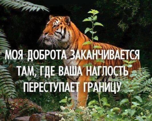 Вы перешли мои границы (конкурсное) 