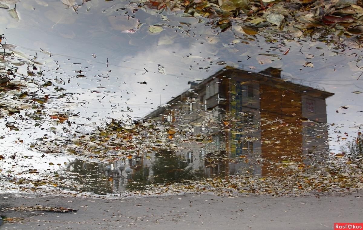 ПРИРОДЫ КАПРИЗ