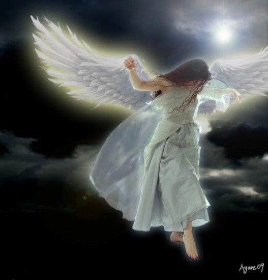 Крылом закроет от беды