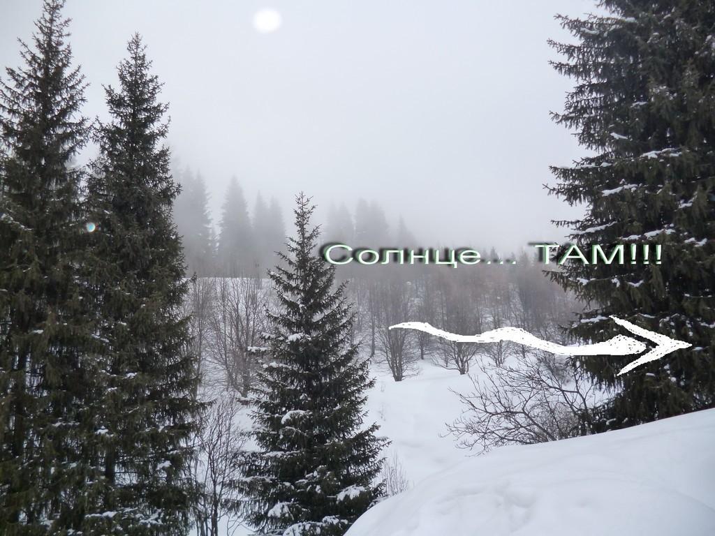 Серия... Диалоги с Небом.... Нло.