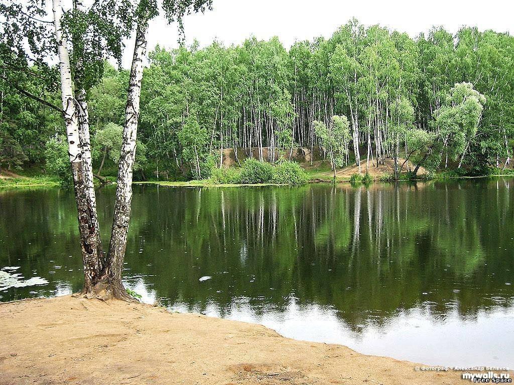 Берёзово - ромашковая Русь