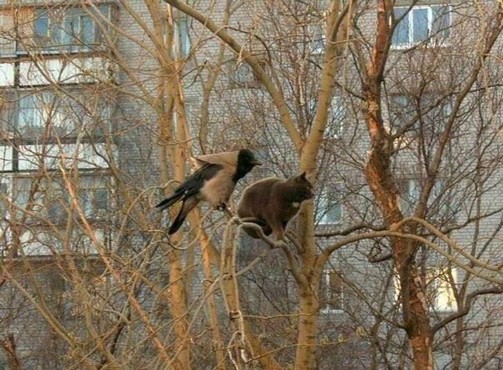 ВОТ И ВСЁ. ЗИМА ПРОШЛА