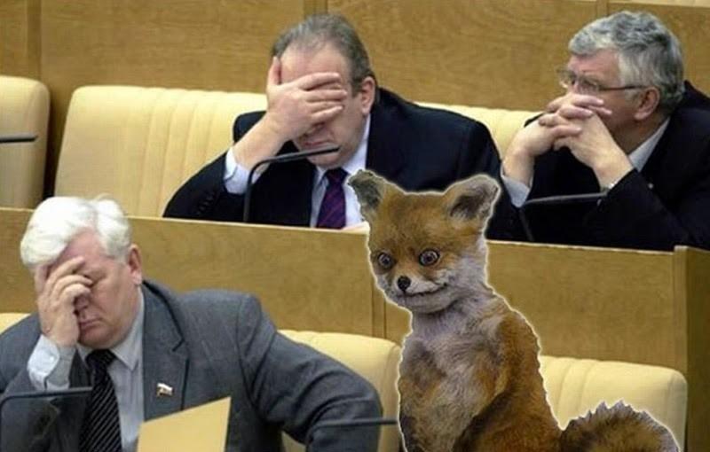 Лоснятся лица....