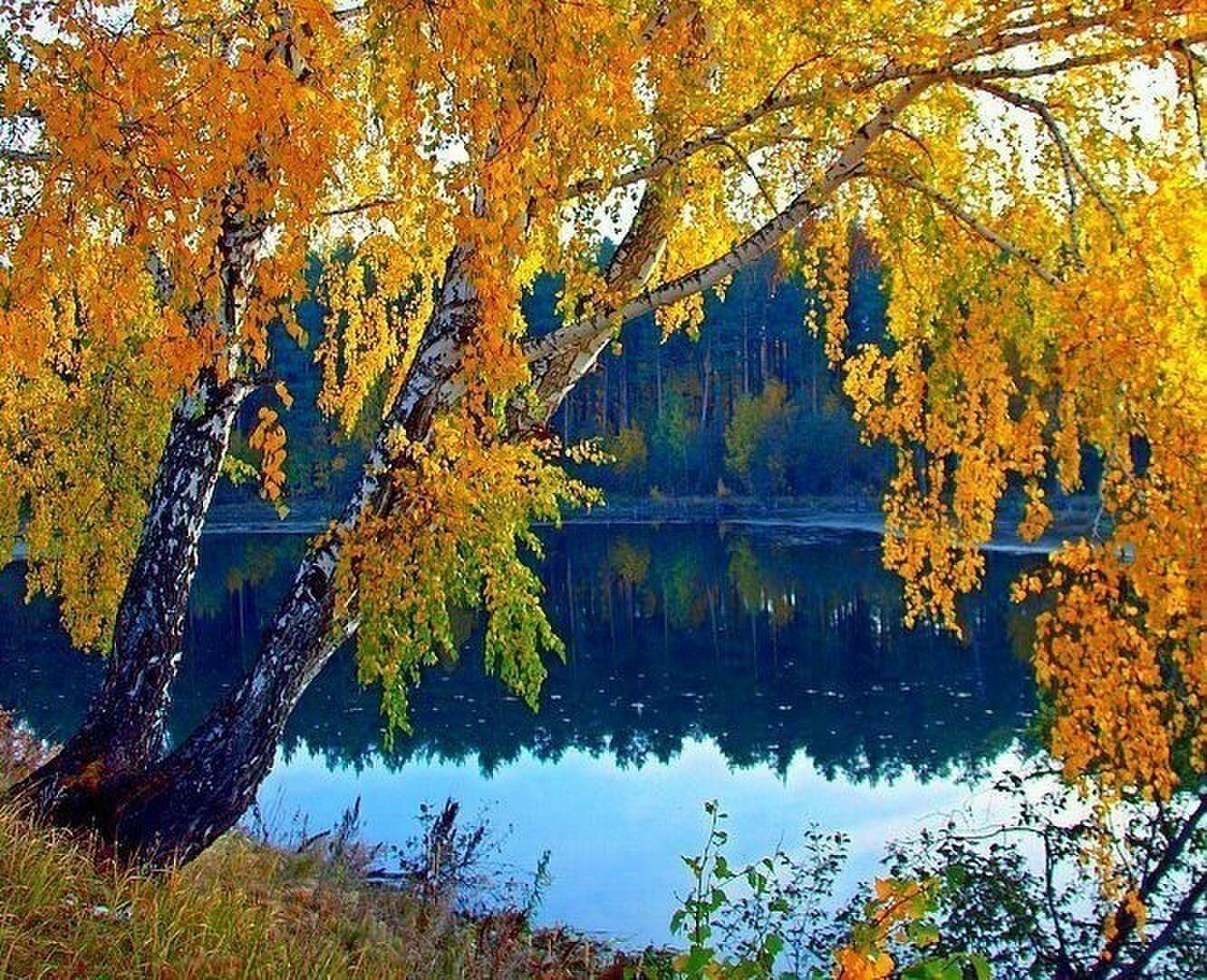 Фото У Воды Осенью