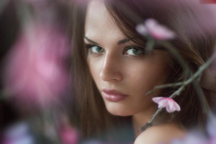 Мы о Фрейде болтали...