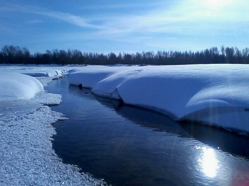 Торжество Природной МУДРОСТИ.